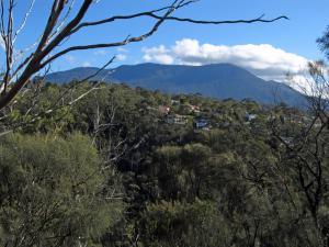 Looking at Mt Wellington from the track.