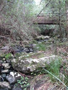 Moss covered rocks below the bridge.